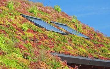 St Levan living roof systems