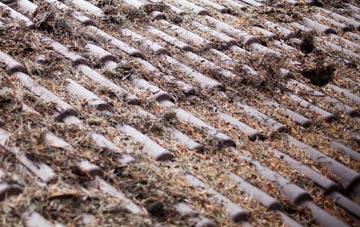 St Levan roof cleaning companies